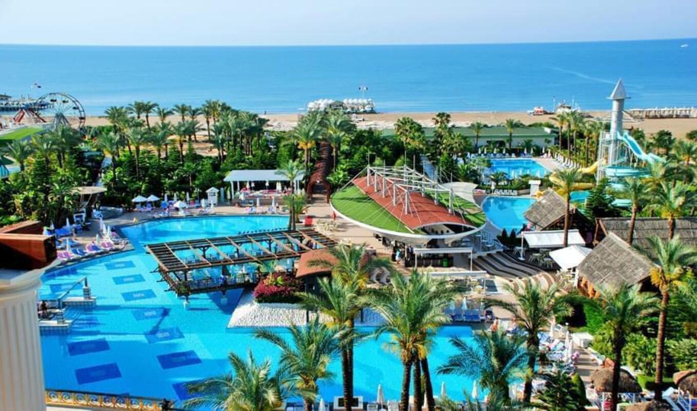 Delphin Diva Premiere Überweisen