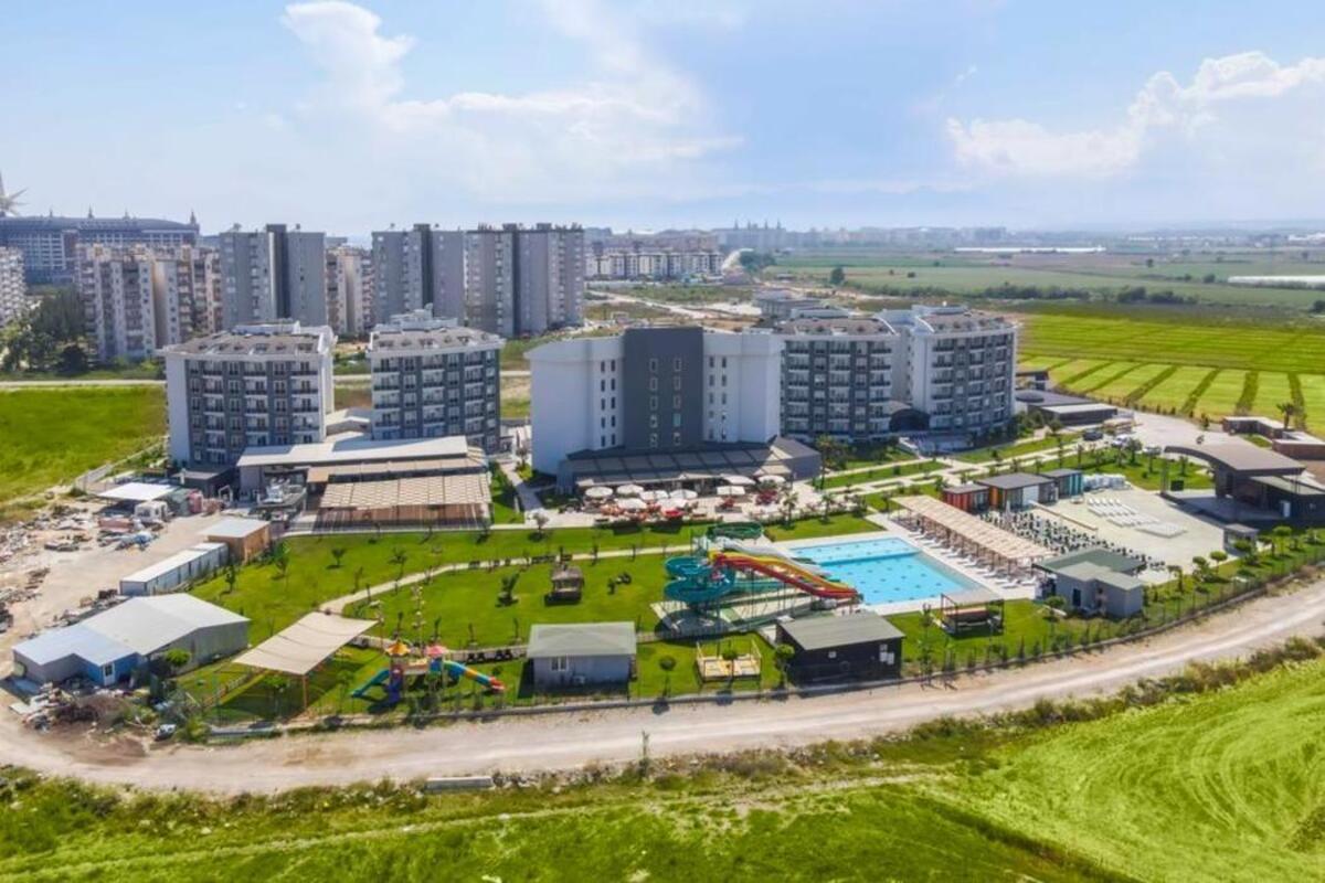 Prado Family Lara Transfer