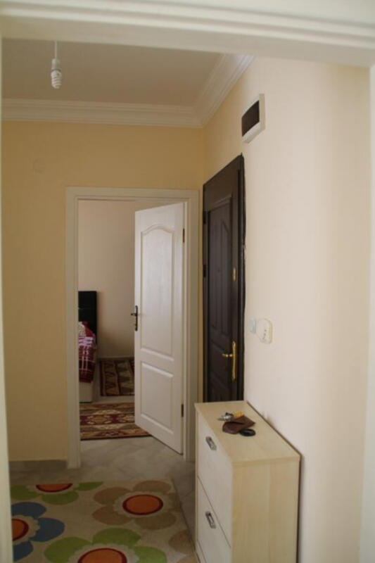 Shamrock Apart Transfer